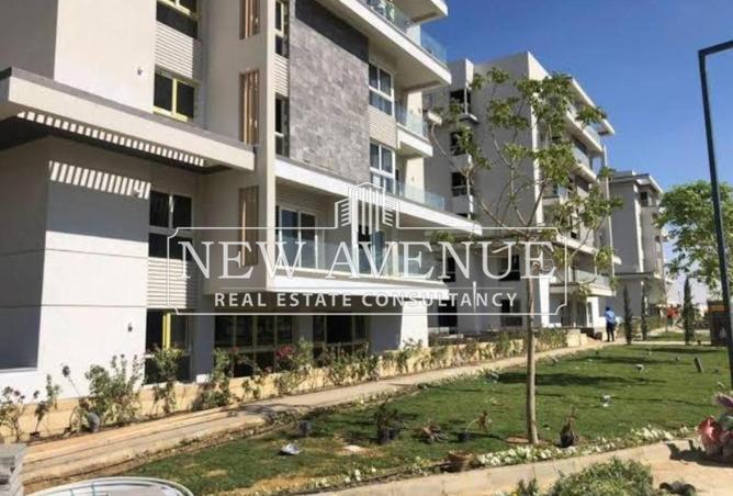 54746618 - Property Image 3