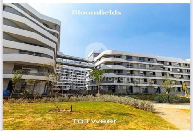 8559877 - Property Image 2