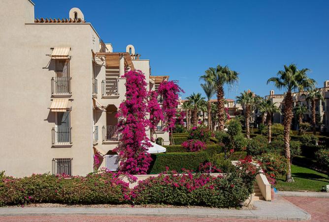 64637521 - Property Image 3