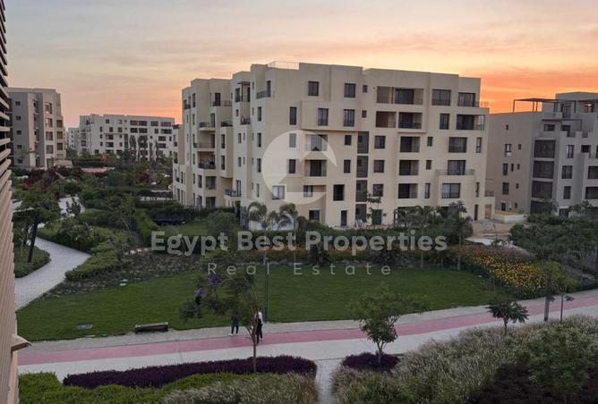 61203546 - صورة العقار 3