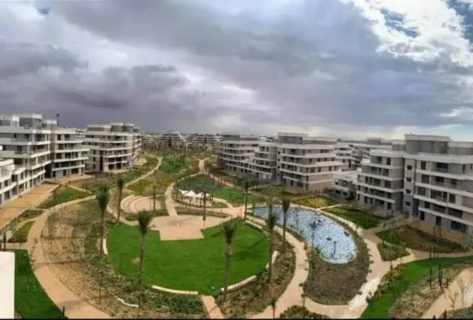 101788656 - صورة العقار 2