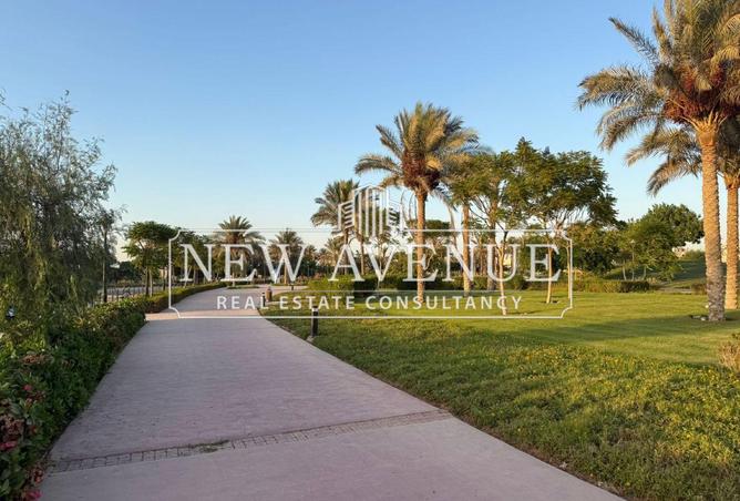 66695906 - Property Image 3