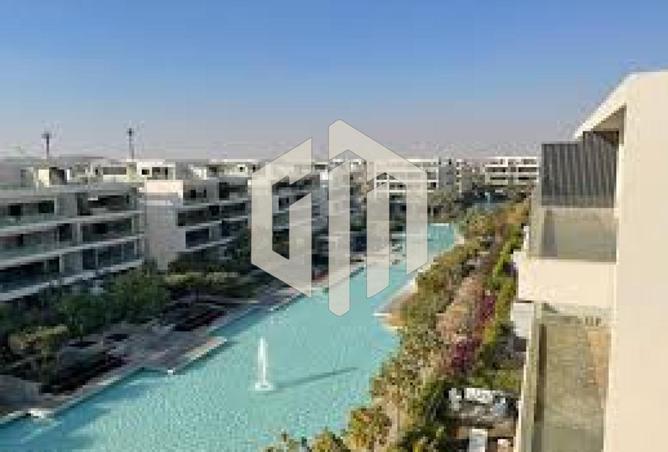 81040533 - Property Main Image