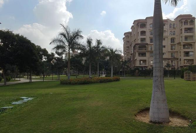 85588947 - صورة العقار 3