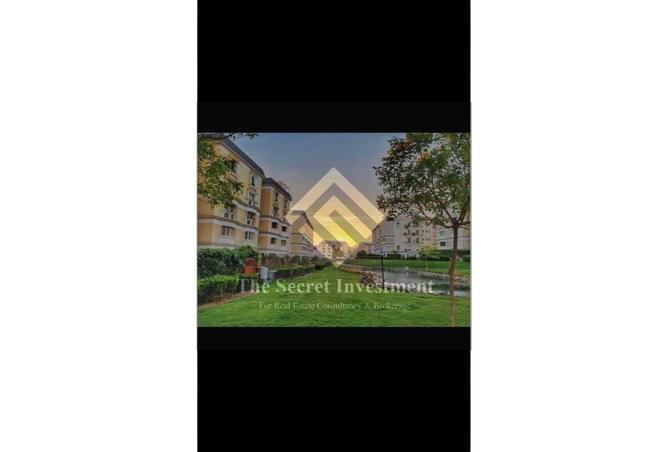 56493254 - Property Image 2