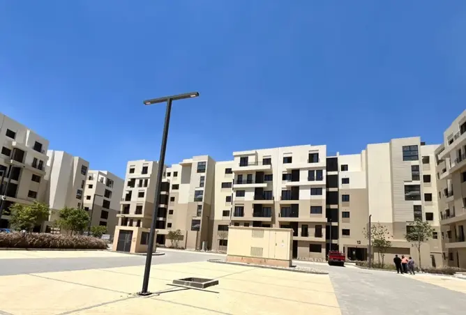 101501853 - Property Image 3