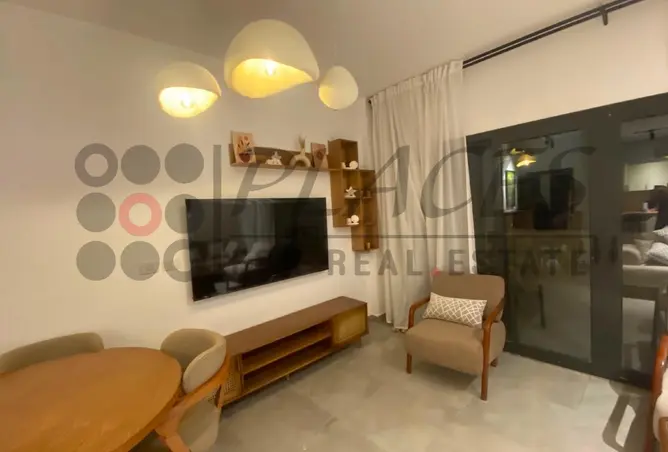 113245526 - Property Image 3
