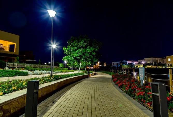 99115730 - Property Image 3