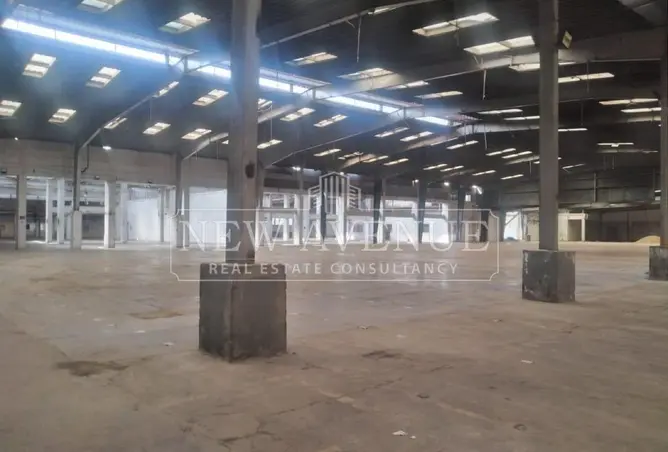 113247203 - صورة العقار 2