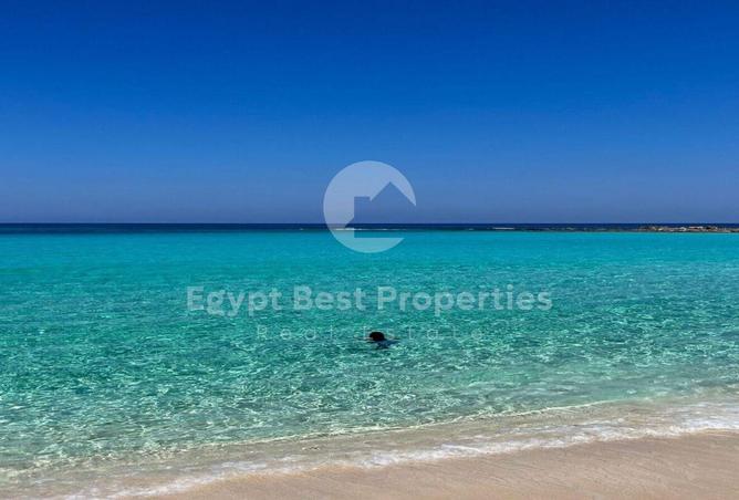 97727345 - Property Image 3
