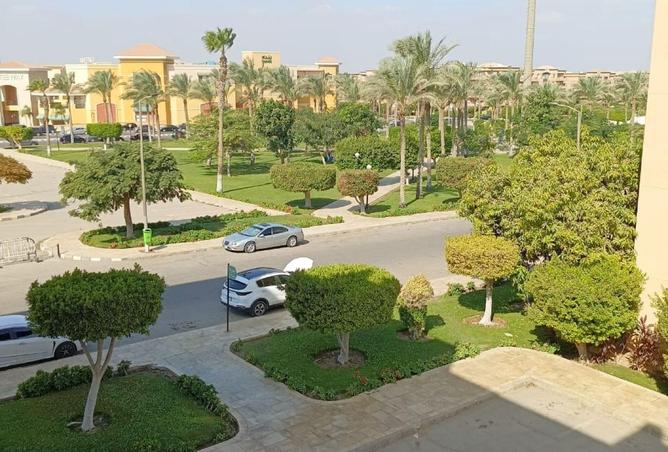 69575481 - Property Image 2