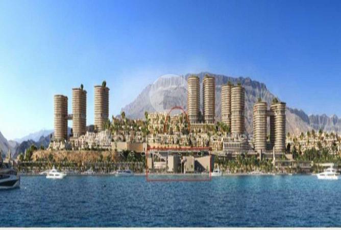 51939016 - صورة العقار 2