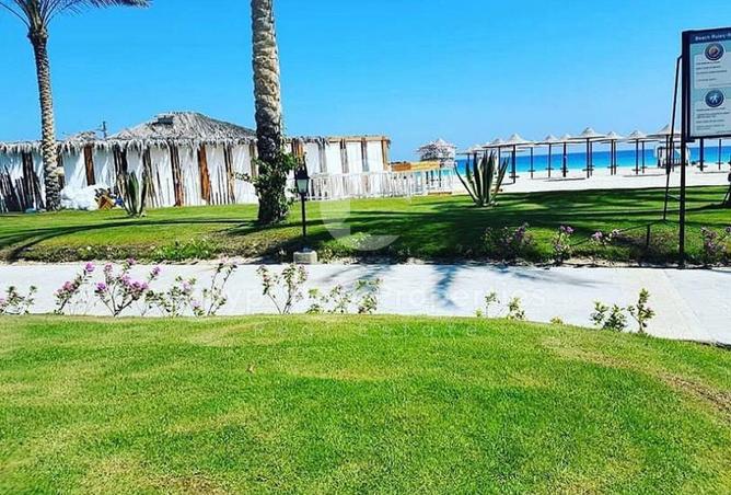 58248069 - Property Image 3