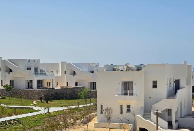 81312685 - الصورة الرئيسية للعقار