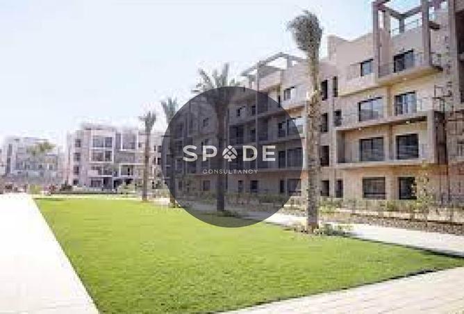 62644897 - Property Image 3