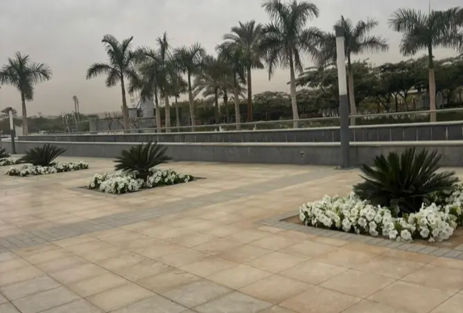 119839417 - صورة العقار 3