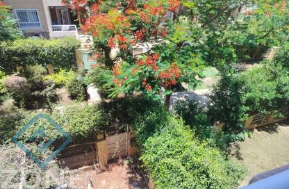Apartment - 3 Bedrooms - 3 Bathrooms for rent in B11 - Madinaty - Cairo Apartment - 3 Bedrooms - 3 Bathrooms for rent in B11 - Madinaty - Cairo