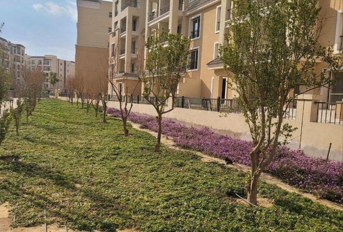 53724835 - Property Image 3