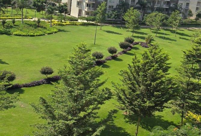 62886915 - الصورة الرئيسية للعقار