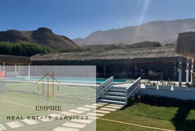 101772742 - Property Image 2