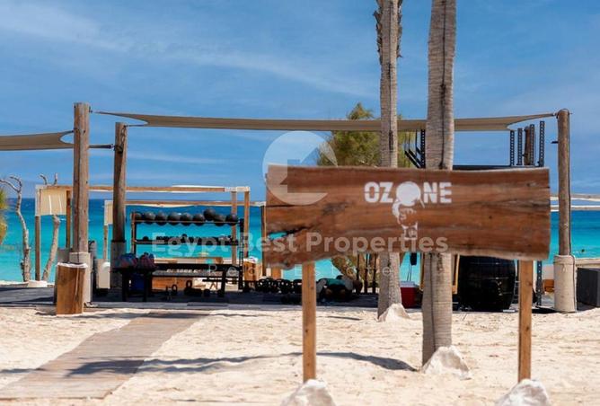 8507302 - Property Image 2