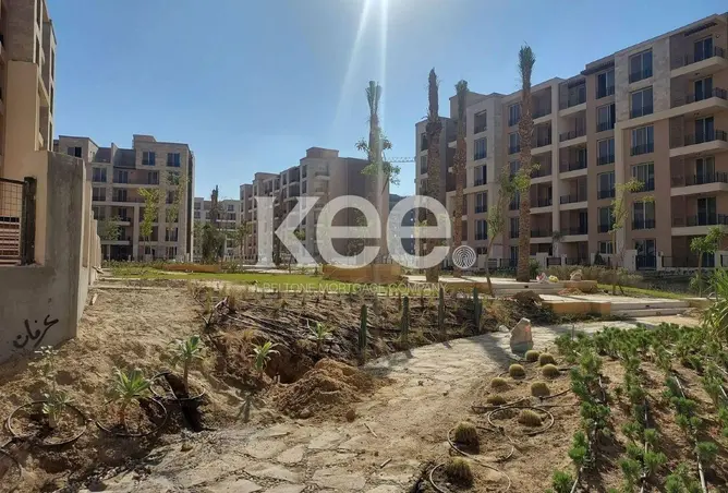 106021561 - Property Image 2
