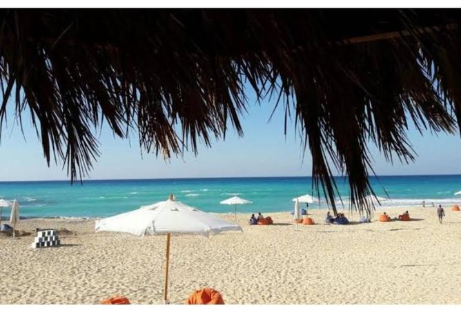 8528772 - Property Image 2