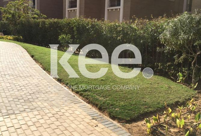 58986775 - Property Image 3