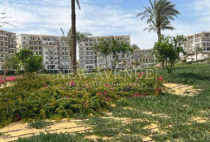 76781417 - صورة العقار 3