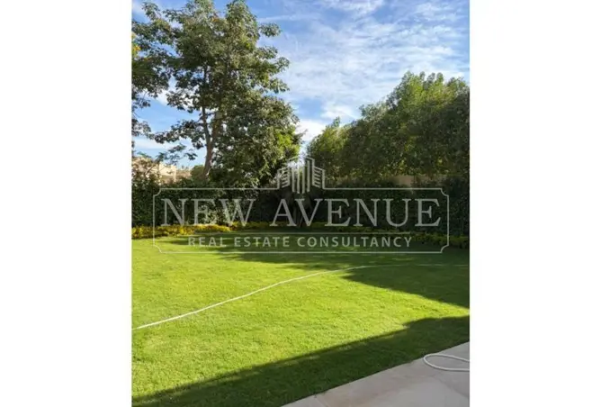 120872391 - Property Image 3