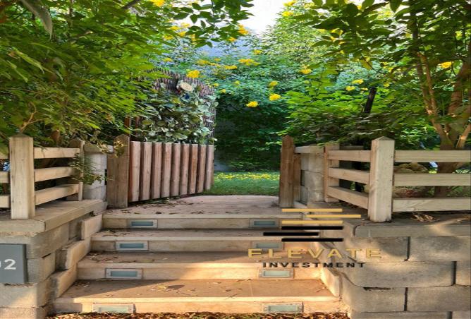 53097583 - Property Image 3