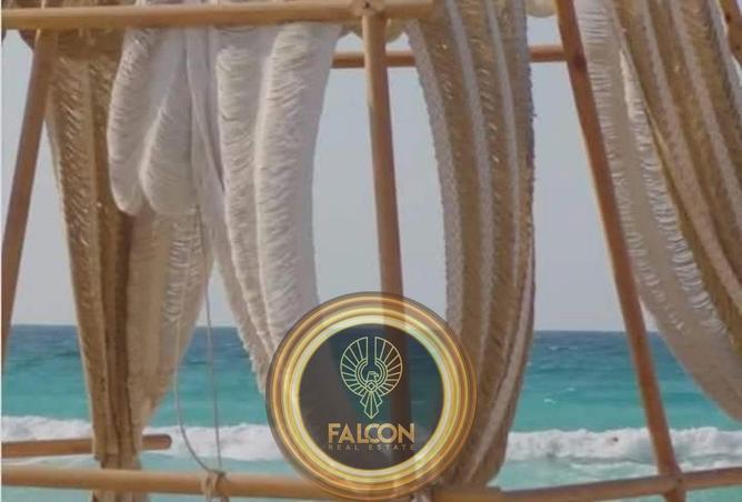 66429924 - Property Main Image