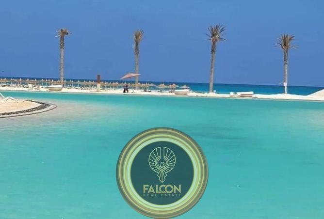 66429924 - Property Image 3