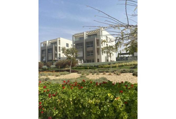 78135779 - Property Image 3