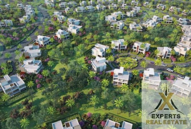 58241243 - الصورة الرئيسية للعقار