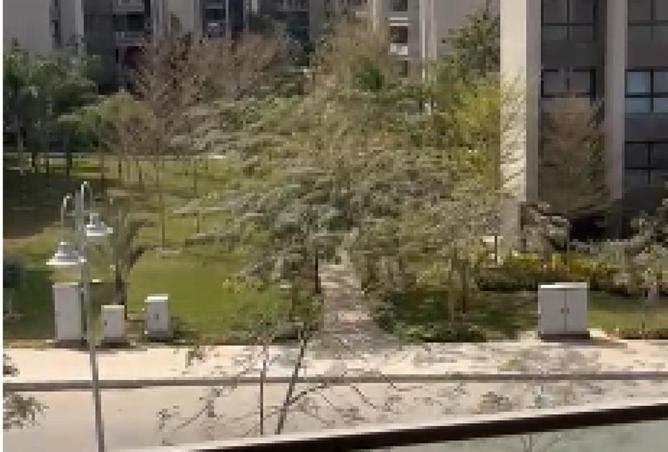 62883948 - صورة العقار 3