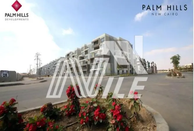 101780261 - Property Image 3