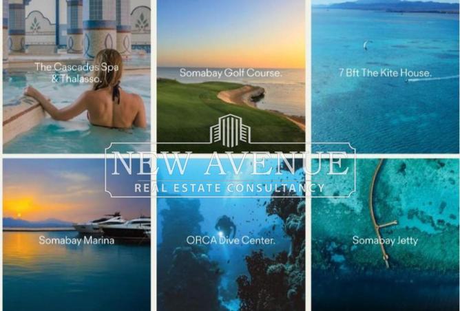 67742429 - Property Image 2