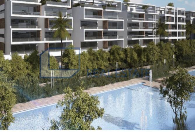 56506469 - Property Image 2