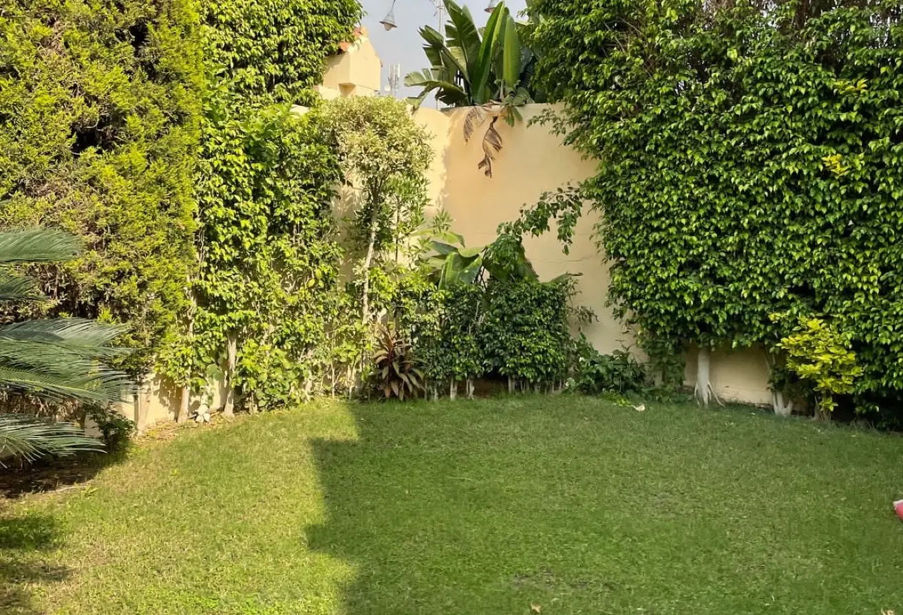 112988261 - الصورة الرئيسية للعقار