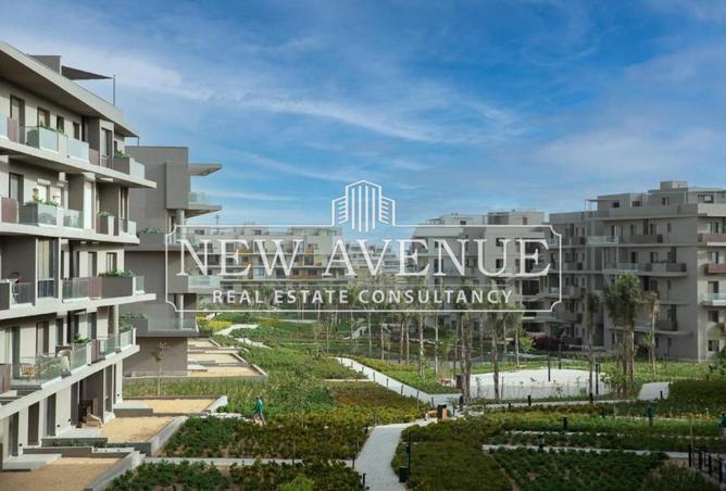 73494521 - Property Image 3
