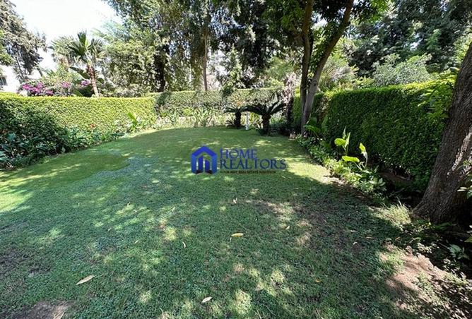 58253415 - صورة العقار 2