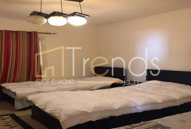 112975219 - Property Image 3