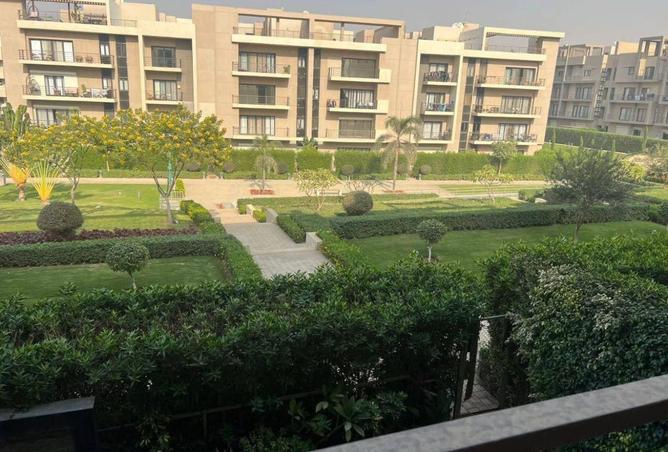 58253475 - Property Image 2