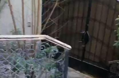 فيلا - 4 غرف نوم - 3 حمامات للبيع في الحي الثالث - مدينة 6 أكتوبر - الجيزة فيلا - 4 غرف نوم - 3 حمامات للبيع في الحي الثالث - مدينة 6 أكتوبر - الجيزة
