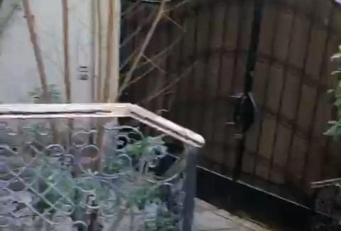 58741474 - صورة العقار 3