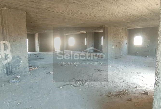 97431426 - Property Image 2