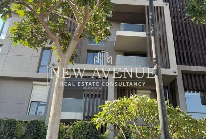 64637488 - Property Image 3