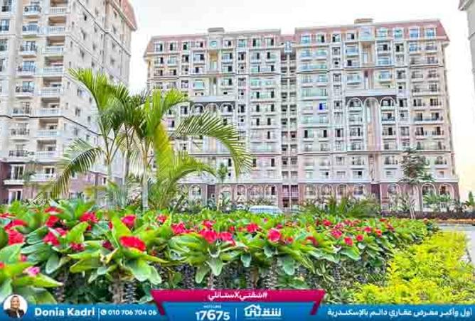 8485690 - Property Image 2