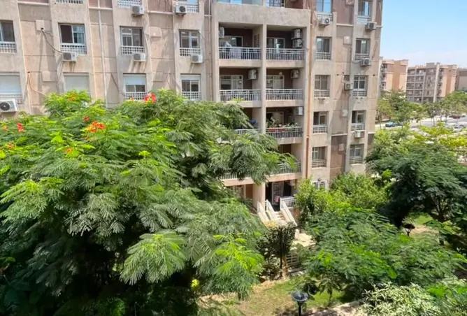 114613967 - صورة العقار 2